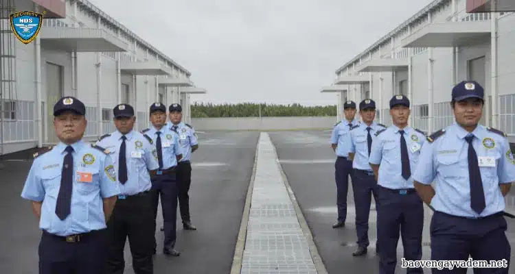dịch vụ bảo vệ ngày tết
