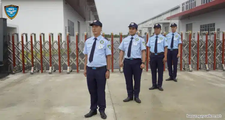 bảo vệ trường học