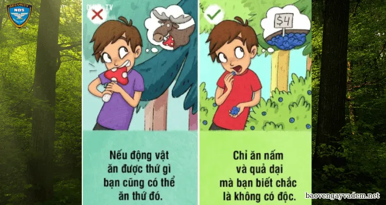 Kỹ năng sinh tồn