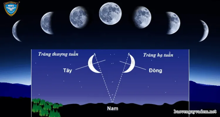 Kỹ năng sinh tồn