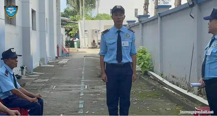 đào tạo nghiệp vụ