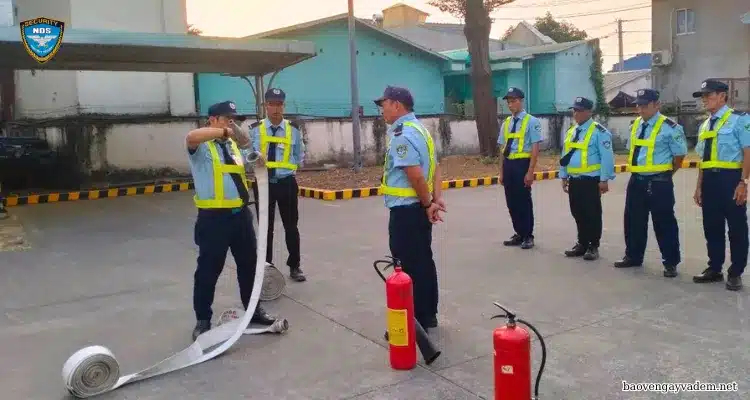 dịch vụ bảo vệ tạm thời và dịch vụ bảo vệ dài hạn