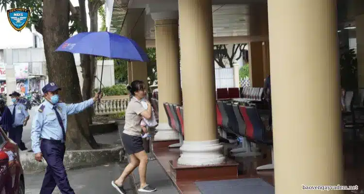 dịch vụ bảo vệ tạm thời và dịch vụ bảo vệ dài hạn