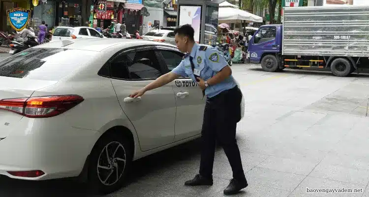 dịch vụ bảo vệ tạm thời và dịch vụ bảo vệ dài hạn