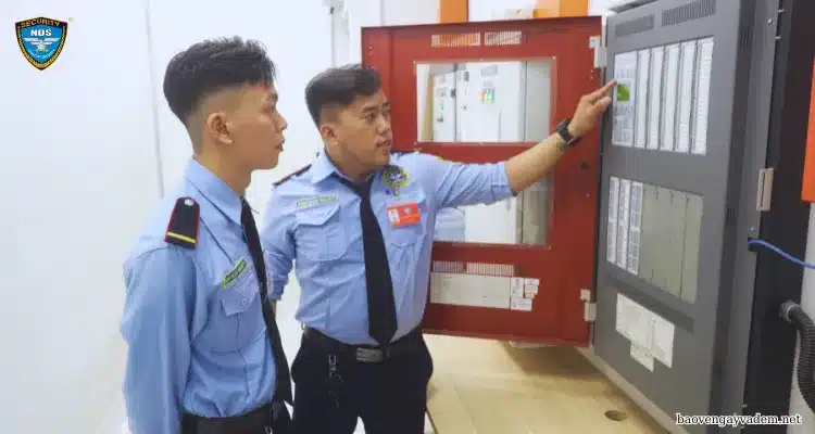 dịch vụ bảo vệ tạm thời và dịch vụ bảo vệ dài hạn