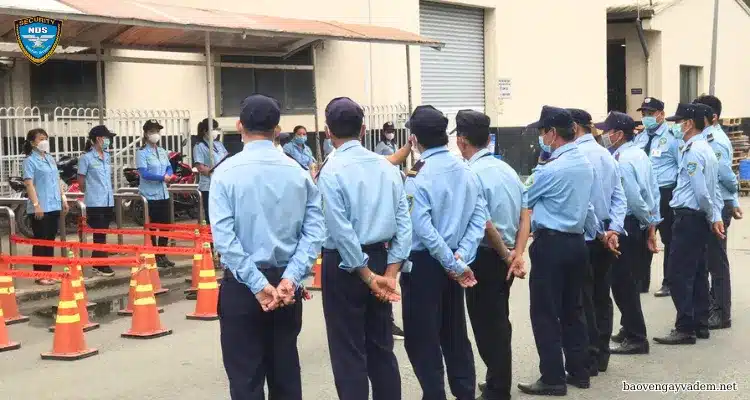 Đội Ngũ Bảo Vệ